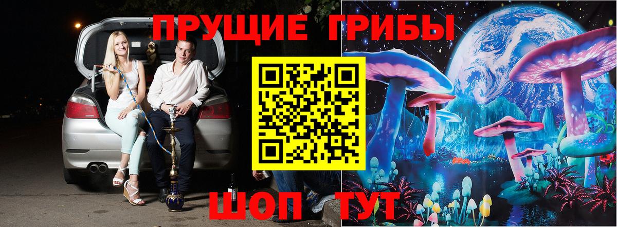 Сальск  Галлюциногенные грибы мицелий  Вход с VPN 