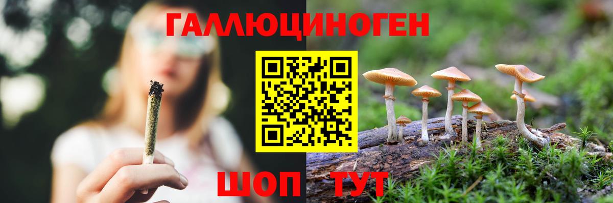 Псилоцибиновые грибы Magic Shrooms Сальск