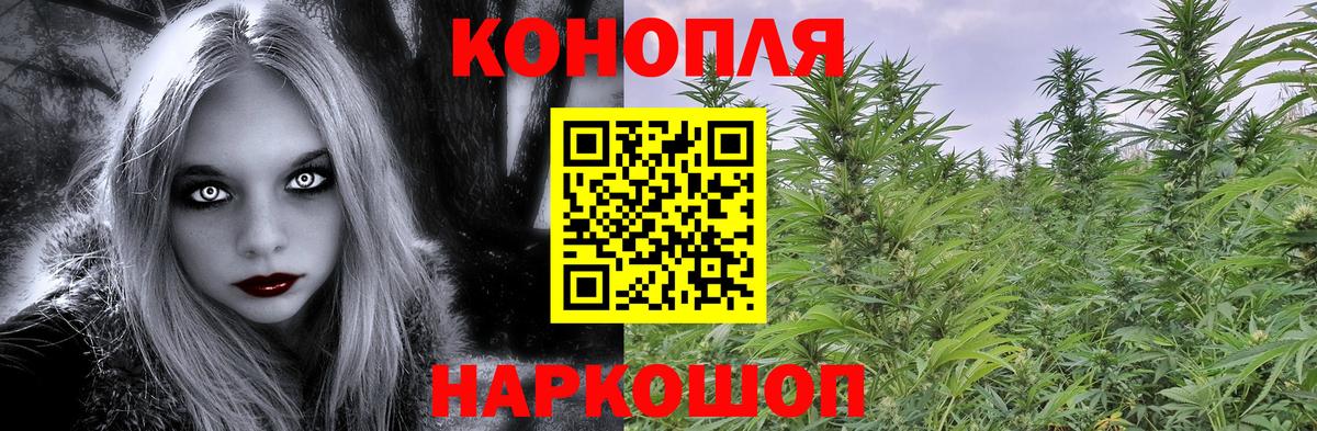 Сальск  Шишки марихуана семена  Вход с VPN  Марихуана гибрид 